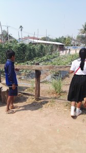 Donken Phneat vegetable garden