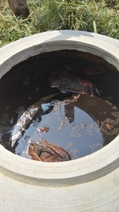 Bokashi compost system