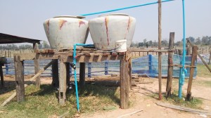 Water catchment & irrigation system